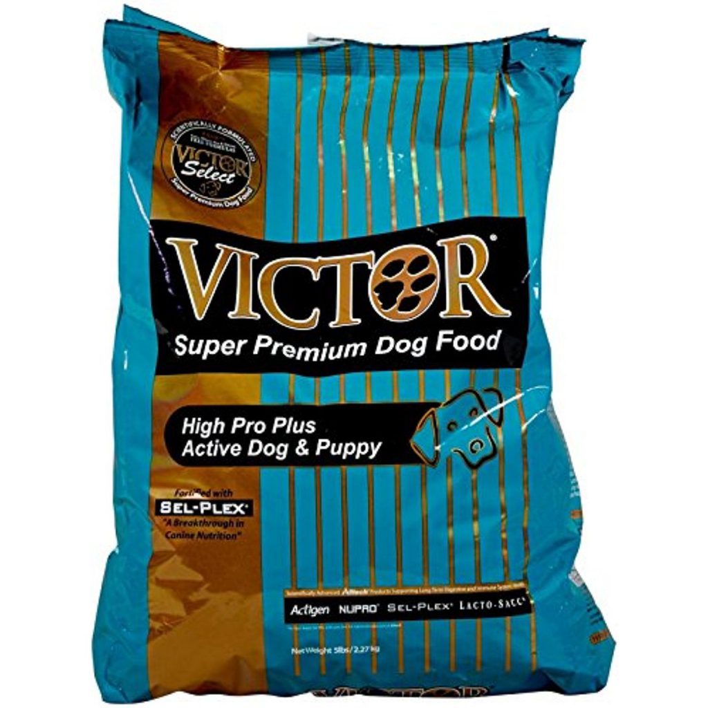 Victor Hi-Pro Plus Formula Dry Dog Food Review