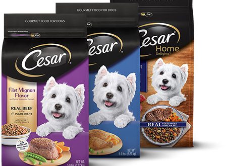 Cesar Dry Dog Food in 2020 - Echomagonline - The Pets Food Review World