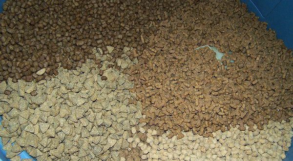bulk dry dog food