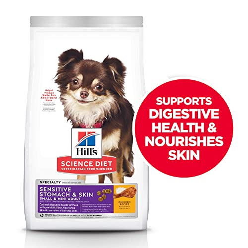 best puppy food for small dogs